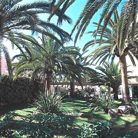 Hotel Palmira Isabela 圣蓬萨 外观 照片