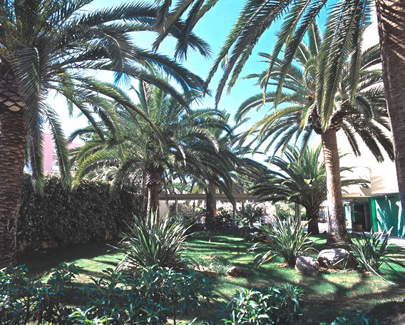 Hotel Palmira Isabela 圣蓬萨 外观 照片